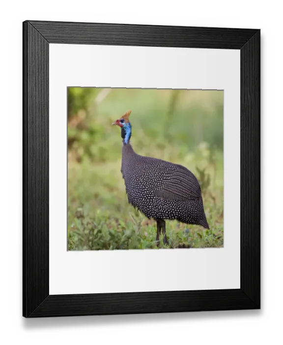 Framed Print : Africa, Tanzania