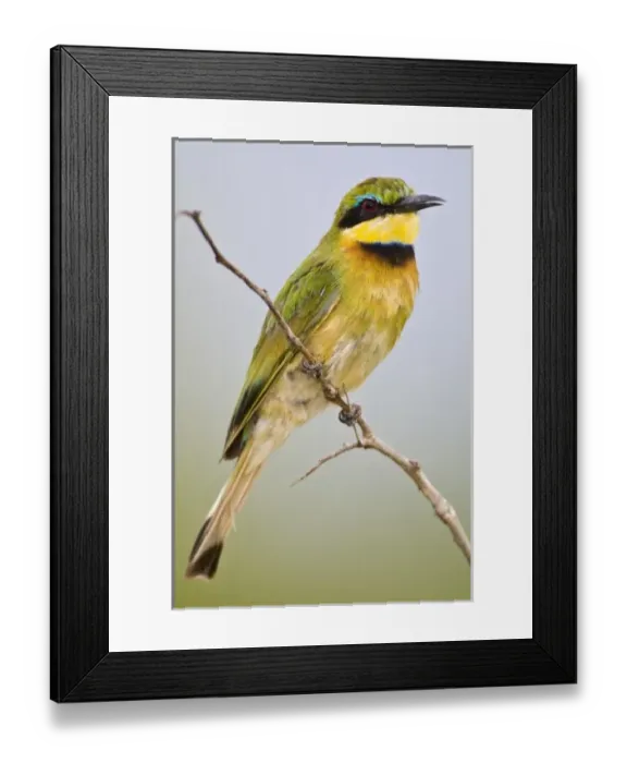 Framed Print : Africa, Tanzania Framed Print : Africa, Tanzania