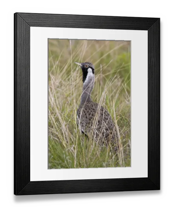 Framed Print : Africa, Tanzania