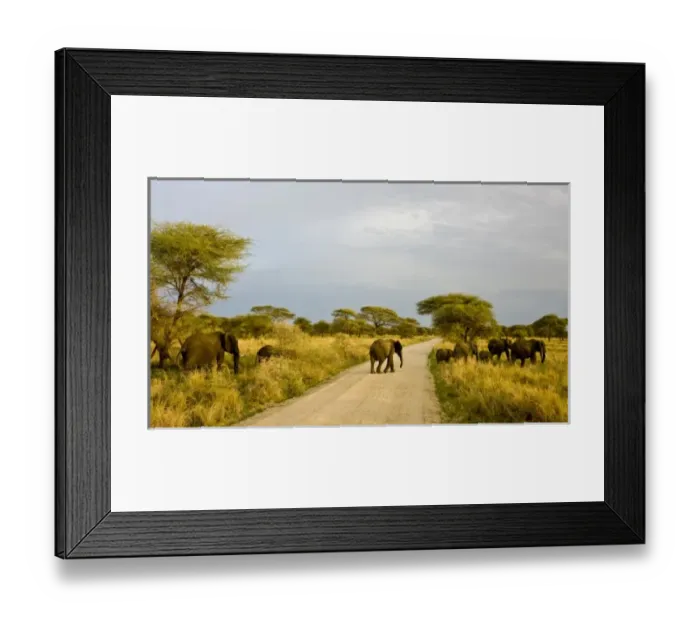 Framed Print : Africa, Tanzania