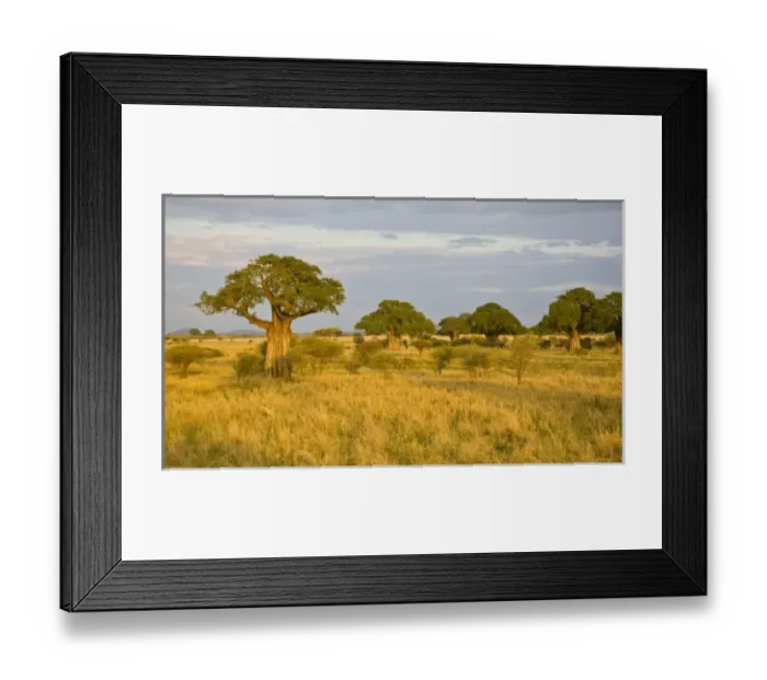 Framed Print : Africa, Tanzania Framed Print : Africa, Tanzania