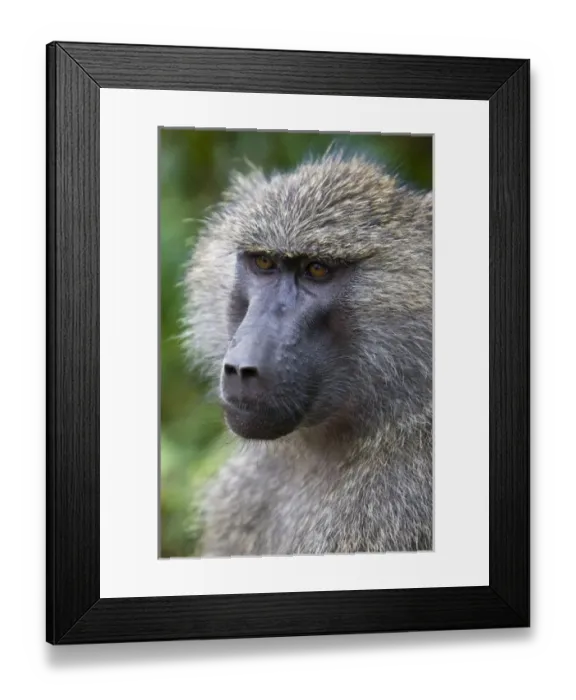 Framed Print : Africa, Tanzania Framed Print : Africa, Tanzania