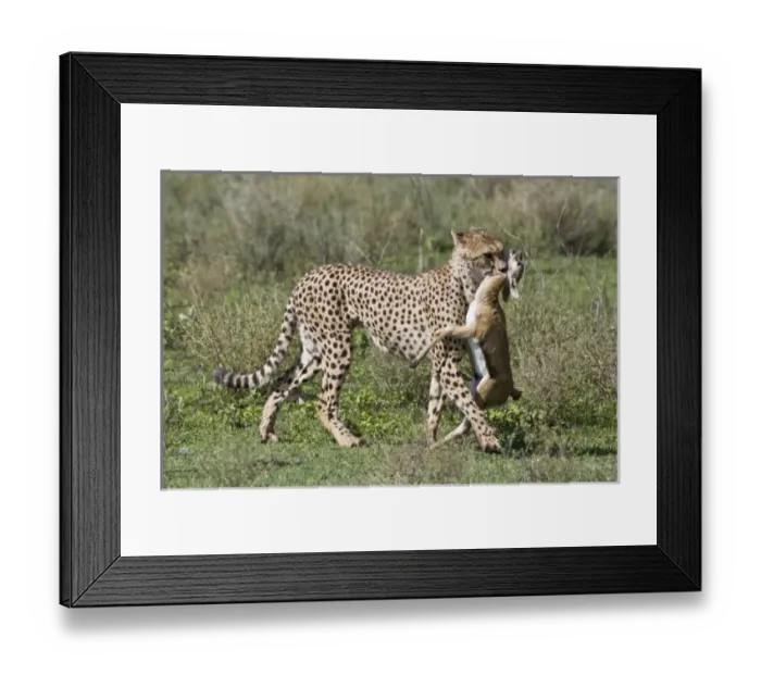 Framed Print : Africa, Tanzania Framed Print : Africa, Tanzania
