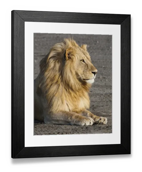 Framed Print : Africa, Tanzania Framed Print : Africa, Tanzania