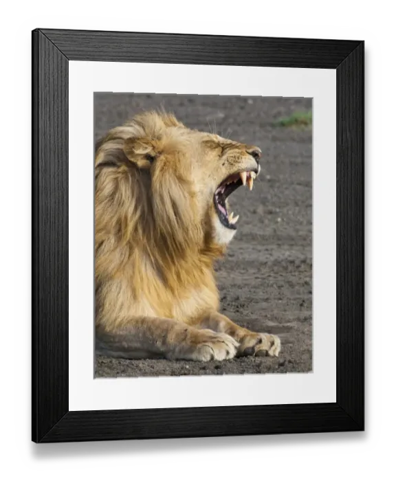 Framed Print : Africa, Tanzania Framed Print : Africa, Tanzania