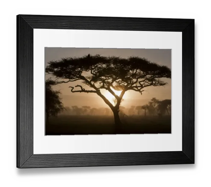 Framed Print : Africa, Tanzania Framed Print : Africa, Tanzania