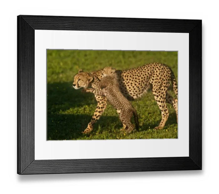 Framed Print : Africa, Tanzania Framed Print : Africa, Tanzania