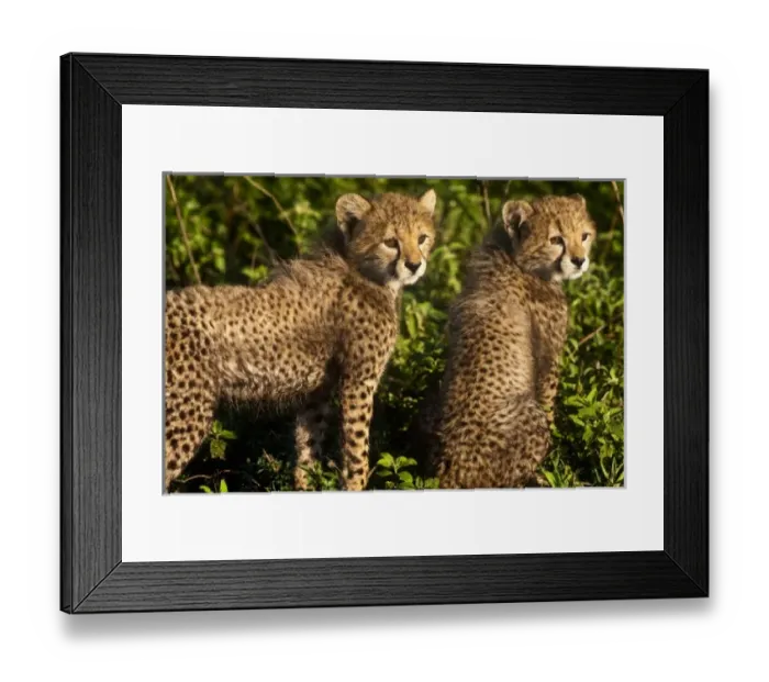 Framed Print : Africa, Tanzania Framed Print : Africa, Tanzania
