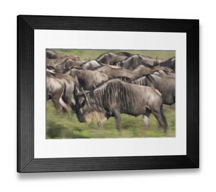 Framed Print : Africa, Tanzania Framed Print : Africa, Tanzania