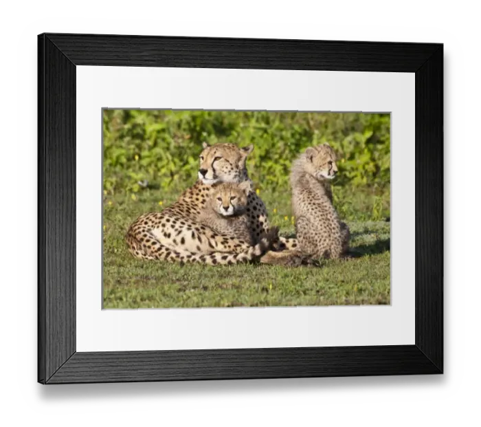 Framed Print : Africa, Tanzania Framed Print : Africa, Tanzania