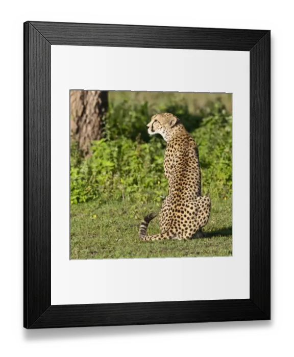 Framed Print : Africa, Tanzania
