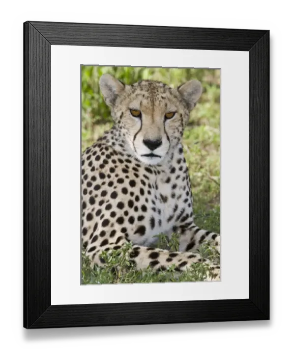 Framed Print : Africa, Tanzania Framed Print : Africa, Tanzania