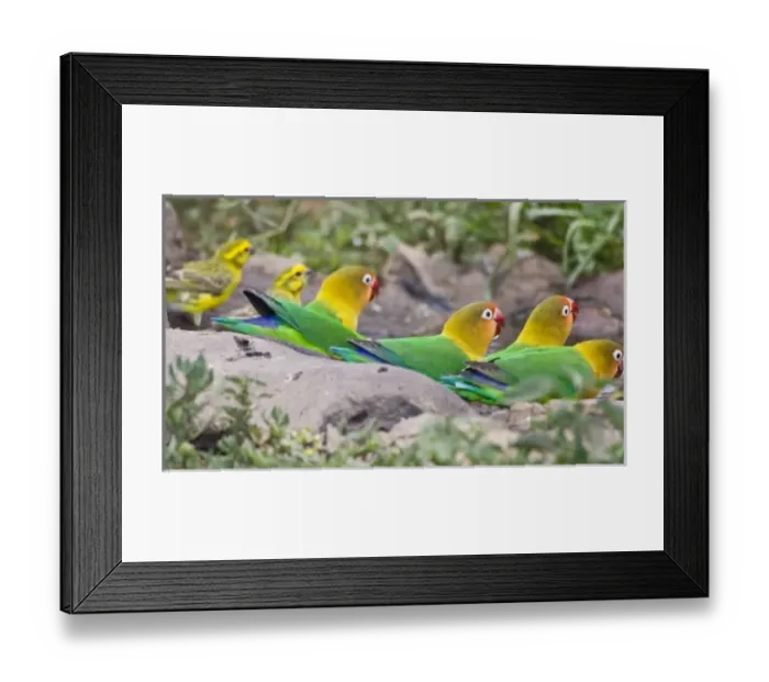 Framed Print : Africa, Tanzania Framed Print : Africa, Tanzania