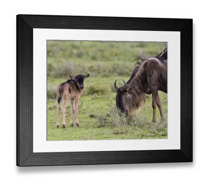 Framed Print : Africa, Tanzania Framed Print : Africa, Tanzania