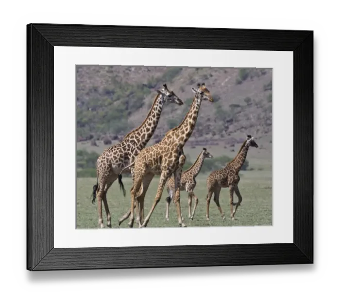 Framed Print : Africa, Tanzania Framed Print : Africa, Tanzania