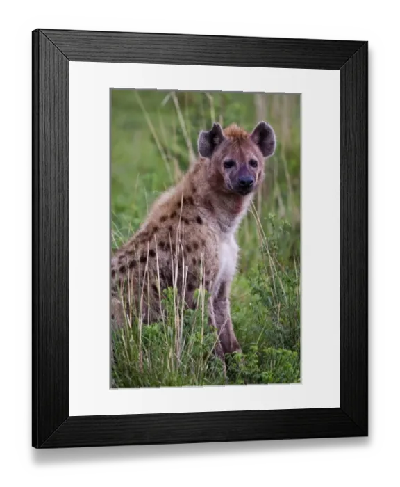 Framed Print : Africa, Tanzania