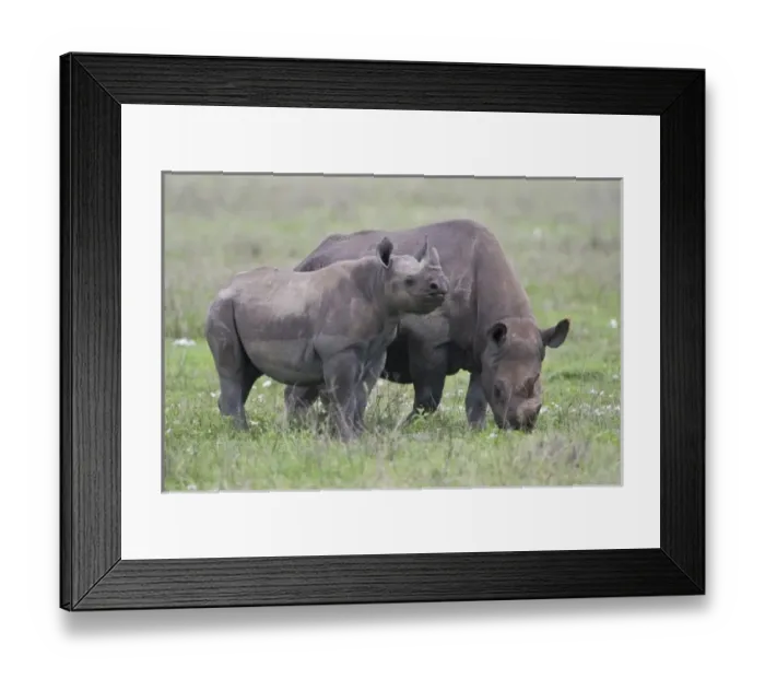 Framed Print : Africa, Tanzania Framed Print : Africa, Tanzania