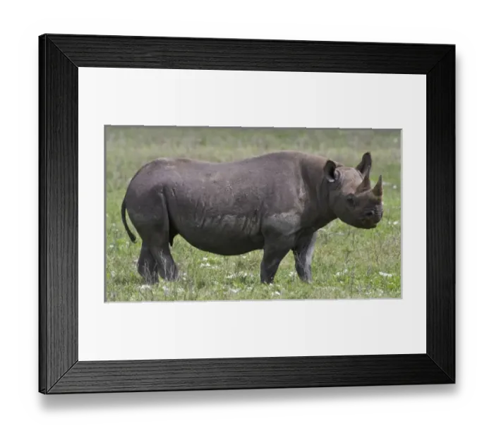 Framed Print : Africa, Tanzania Framed Print : Africa, Tanzania