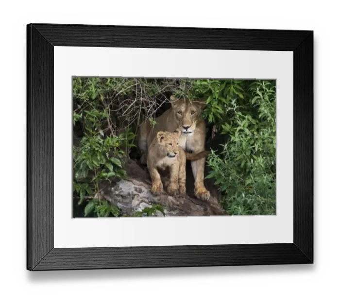 Framed Print : Africa, Tanzania Framed Print : Africa, Tanzania