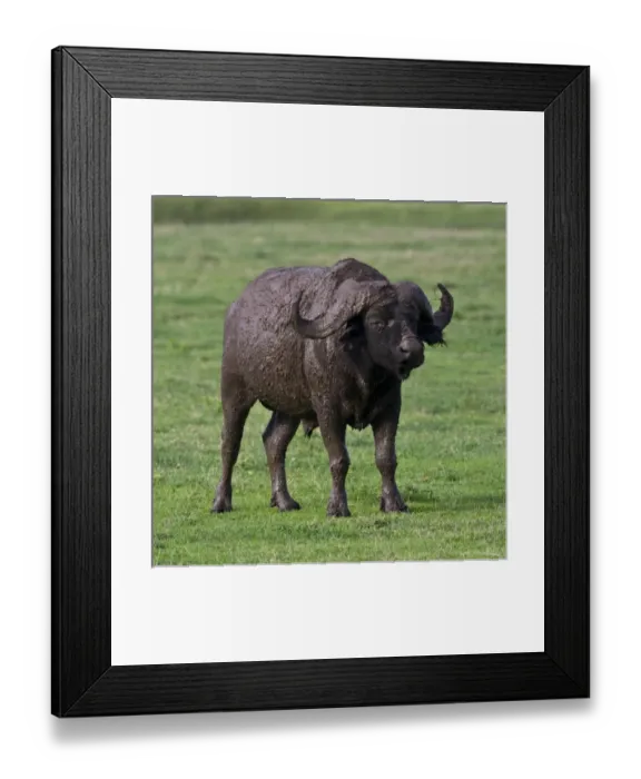Framed Print : Africa, Tanzania Framed Print : Africa, Tanzania