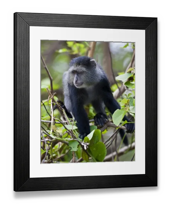 Framed Print : Africa, Tanzania Framed Print : Africa, Tanzania