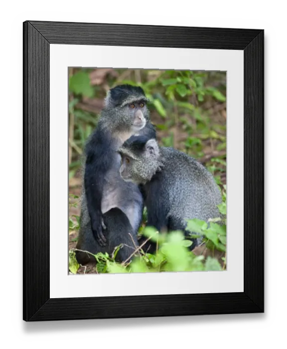Framed Print : Africa, Tanzania Framed Print : Africa, Tanzania