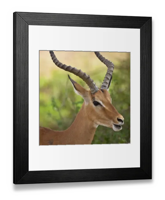 Framed Print : Africa, Tanzania