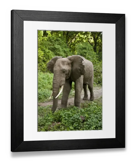 Framed Print : Africa, Tanzania