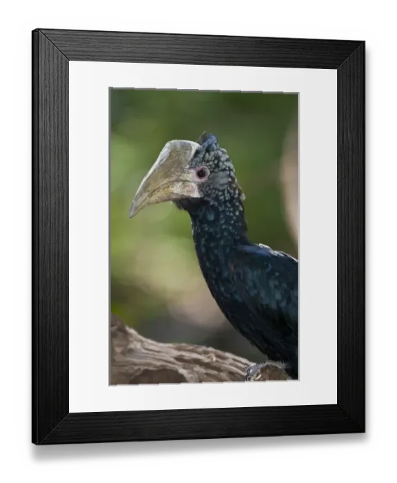 Framed Print : Africa, Tanzania