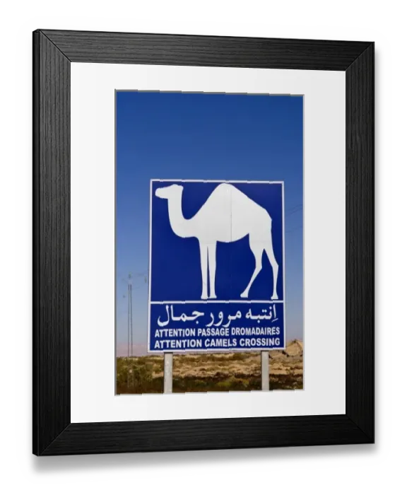 Framed Print : Sign for camel crossing in Sahara Desert near Tozeur Tunisia Africa Framed Print : Sign for camel crossing in Sahara Desert near Tozeur Tunisia Africa