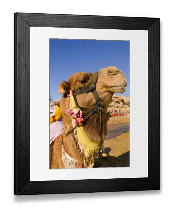 Framed Print : Africa, Tunisia Framed Print : Africa, Tunisia
