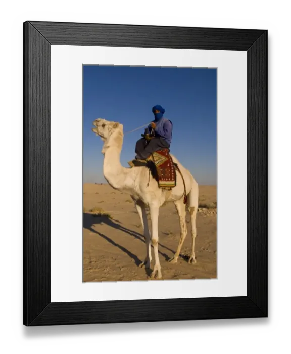 Framed Print : Local Bedouin man on camel ride in Douz in Sahara Desert in Tunisia Africa Framed Print : Local Bedouin man on camel ride in Douz in Sahara Desert in Tunisia Africa