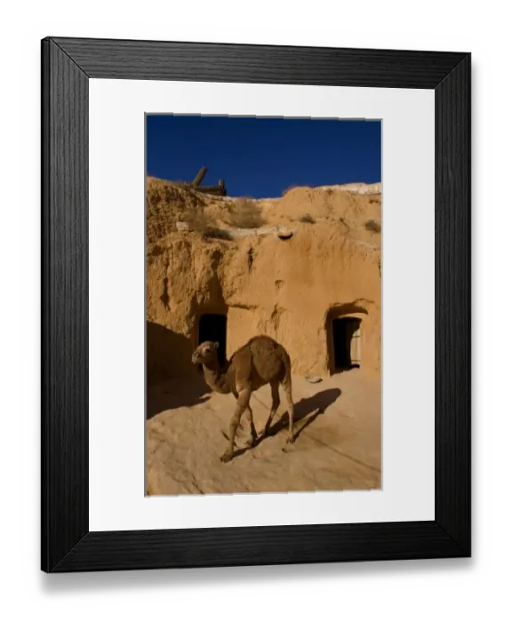 Framed Print : Africa, Tunisia Framed Print : Africa, Tunisia