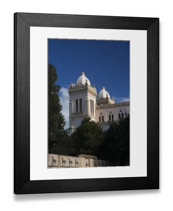 Framed Print : Tunisia, Tunis, Carthage, Byrsa Hill, L Acropolium, b. 1884 Framed Print : Tunisia, Tunis, Carthage, Byrsa Hill, L Acropolium, b. 1884