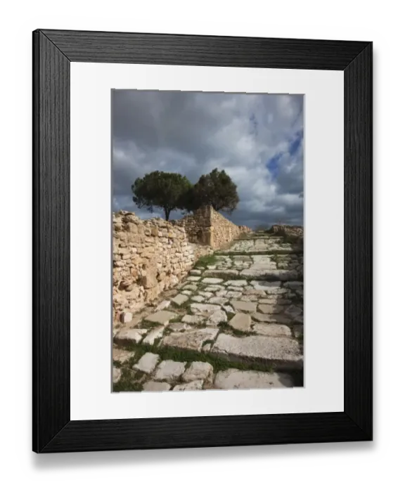 Framed Print : Tunisia, Tunis, Carthage, ruins of Roman-era Villas Framed Print : Tunisia, Tunis, Carthage, ruins of Roman-era Villas