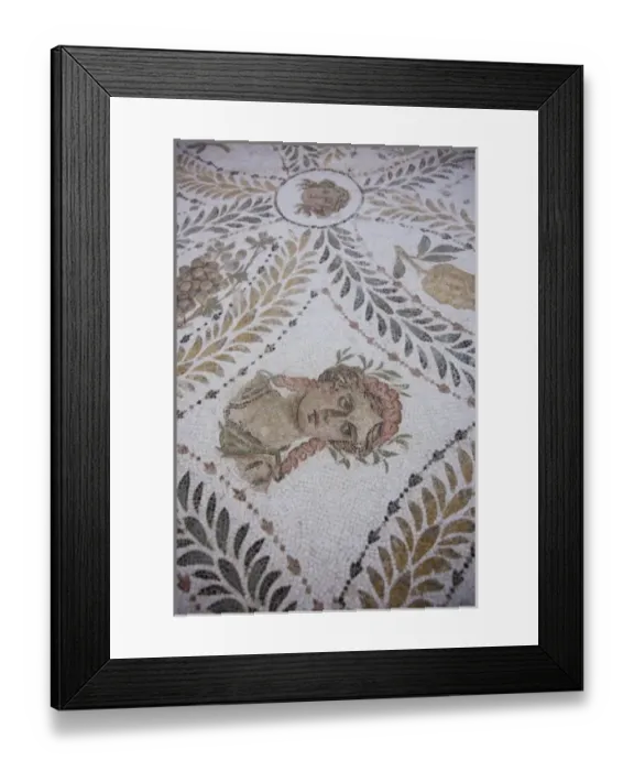 Framed Print : Tunisia, Tunisian Central Coast, El Jem, El Jem Museum, Roman-era mosaic