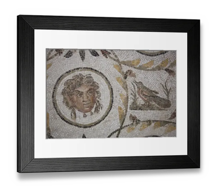 Framed Print : Tunisia, Tunisian Central Coast, El Jem, El Jem Museum, Roman-era mosaic Framed Print : Tunisia, Tunisian Central Coast, El Jem, El Jem Museum, Roman-era mosaic