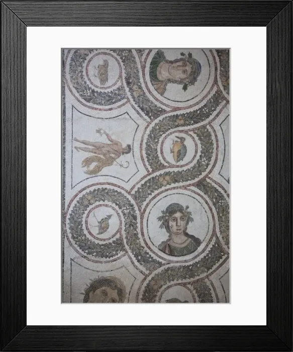Framed Print : Tunisia, Tunisian Central Coast, El Jem, El Jem Museum, Roman-era mosaic Framed Print : Tunisia, Tunisian Central Coast, El Jem, El Jem Museum, Roman-era mosaic