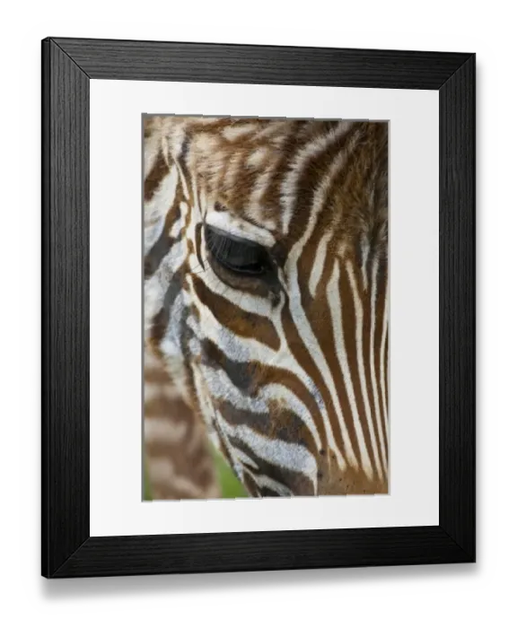Framed Print : Africa, Tanzania