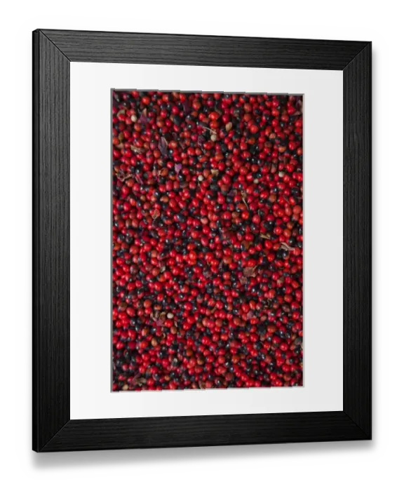 Framed Print : Tunisia, Jerba Island, Midoun, spice market Framed Print : Tunisia, Jerba Island, Midoun, spice market