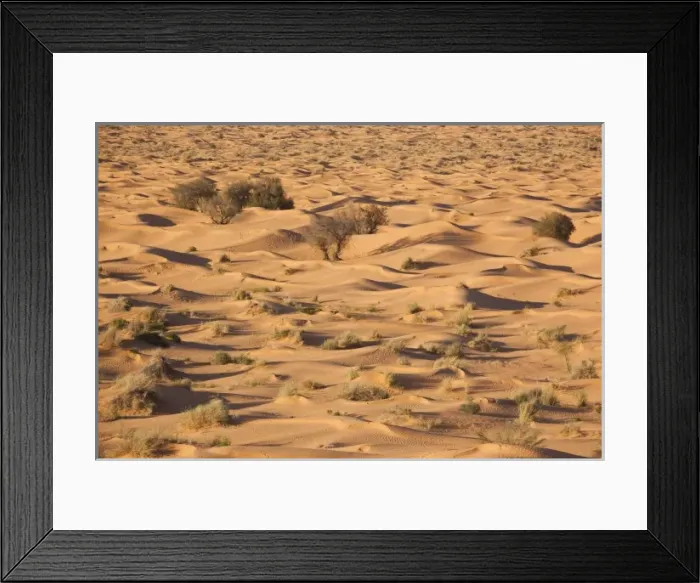 Framed Print : Africa, Tunisia