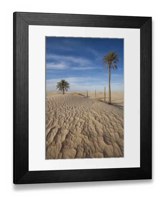 Framed Print : Tunisia, Sahara Desert, Douz, Great Dune, dawn Framed Print : Tunisia, Sahara Desert, Douz, Great Dune, dawn