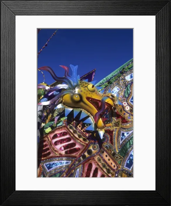 Framed Print : Carnival costume Trinidad Framed Print : Carnival costume Trinidad