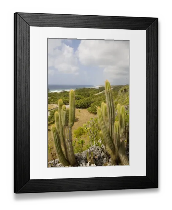 Framed Print : Caribbean, Cayman Islands Framed Print : Caribbean, Cayman Islands