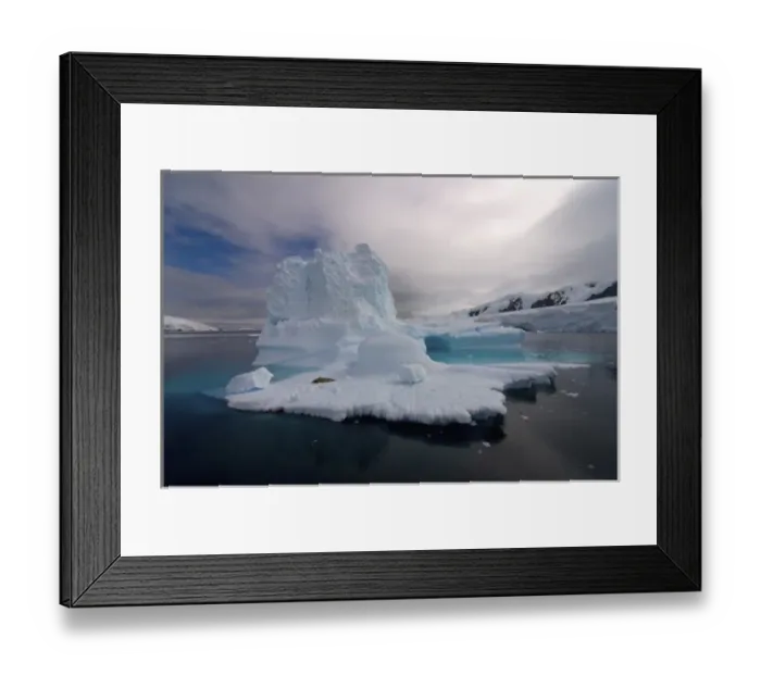 Framed Print : crabeater seal, Lobodon carcinophaga, resting on glacial ice along the western Antarctic Peninsula