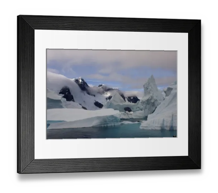Framed Print : leopard seal, Hydrurga leptonyx, resting on a glacial ice, off the western Antarctic Peninsula Framed Print : leopard seal, Hydrurga leptonyx, resting on a glacial ice, off the western Antarctic Peninsula
