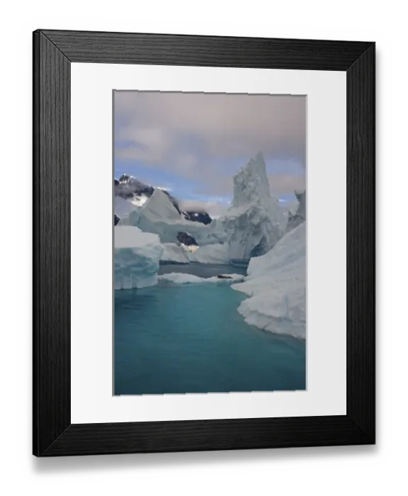 Framed Print : leopard seal, Hydrurga leptonyx, resting on a glacial ice, off the western Antarctic Peninsula Framed Print : leopard seal, Hydrurga leptonyx, resting on a glacial ice, off the western Antarctic Peninsula
