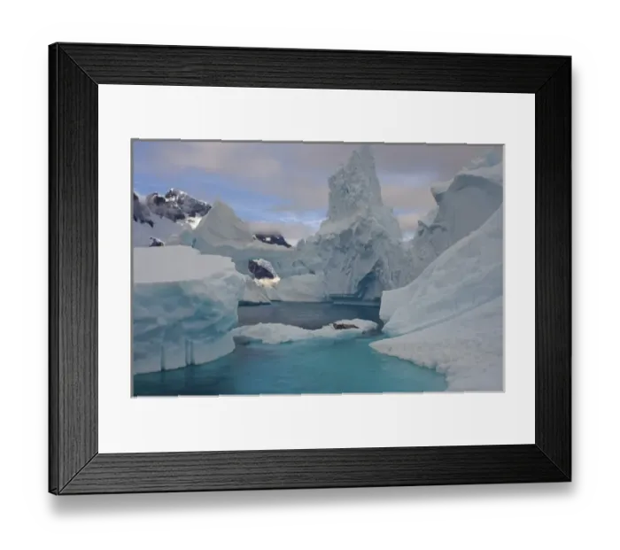 Framed Print : leopard seal, Hydrurga leptonyx, resting on a glacial ice, off the western Antarctic Peninsula Framed Print : leopard seal, Hydrurga leptonyx, resting on a glacial ice, off the western Antarctic Peninsula