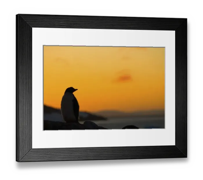 Framed Print : Antarctic, Antarctic Framed Print : Antarctic, Antarctic