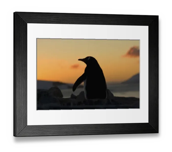 Framed Print : Antarctic, Antarctic Framed Print : Antarctic, Antarctic